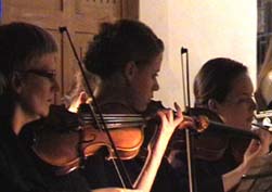 Violinen